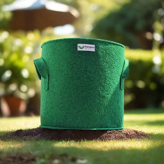 Geofabric Grow Bag – The Eco-Friendly Way to Grow! 🌱♻️